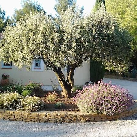 Maison Privee Au Calme Dans Mas Provencal Villa Sanary-sur-Mer Exterior foto