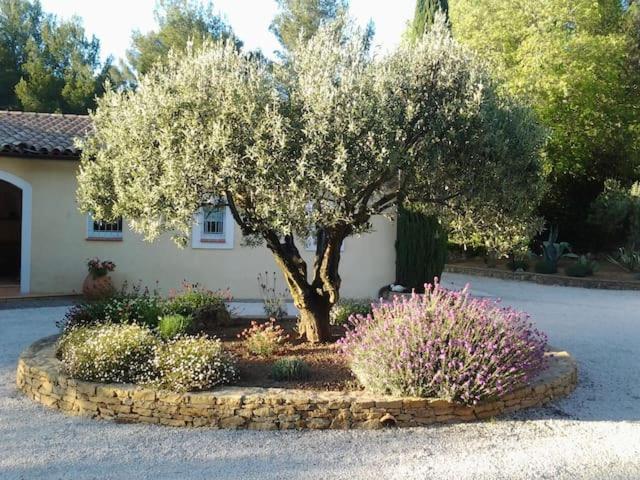 Maison Privee Au Calme Dans Mas Provencal Villa Sanary-sur-Mer Exterior foto